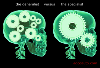 specialist_versus_generalist